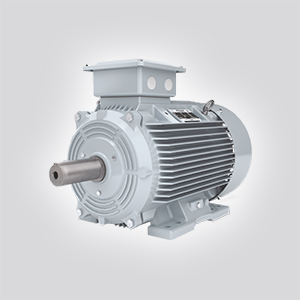 Kirloskar ie3 3 phase induction motor